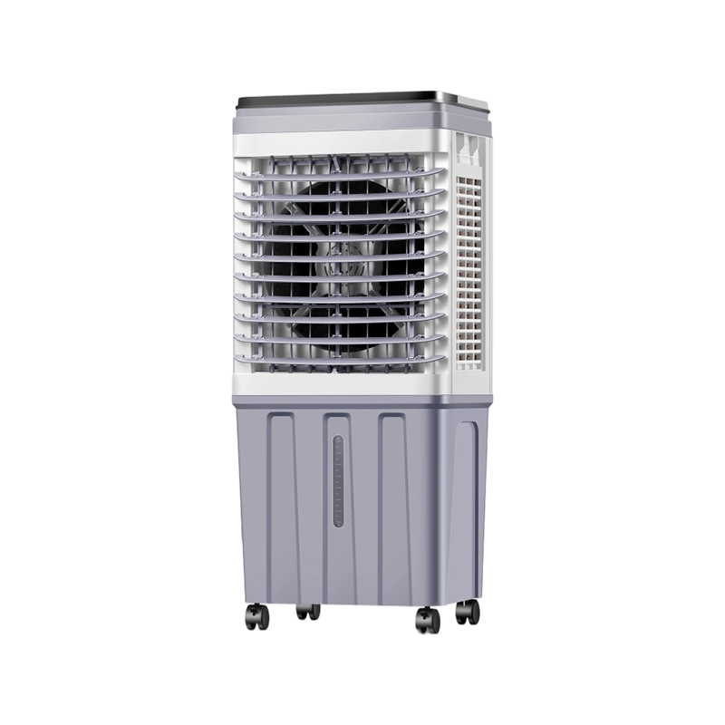 Fuaraitheoir aeir mhonarcha FJ-820ADL/DLR
